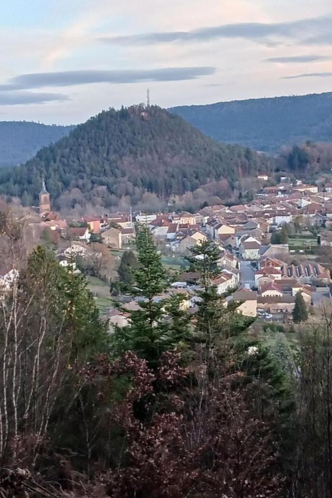 Charmant Gite, Au Calme, Avec Vue Imprenable Sur La Nature Environnante Deycimont Exteriér fotografie
