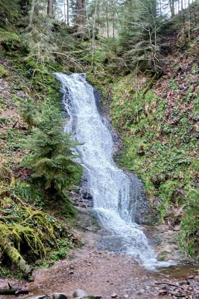 Charmant Gite, Au Calme, Avec Vue Imprenable Sur La Nature Environnante Deycimont Exteriér fotografie