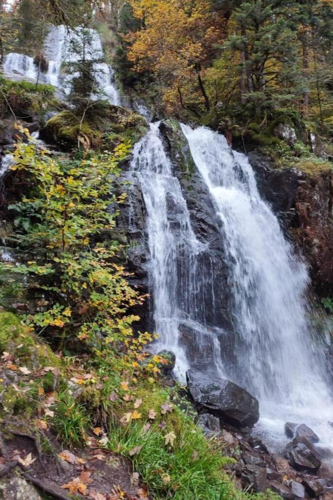 Charmant Gite, Au Calme, Avec Vue Imprenable Sur La Nature Environnante Deycimont Exteriér fotografie