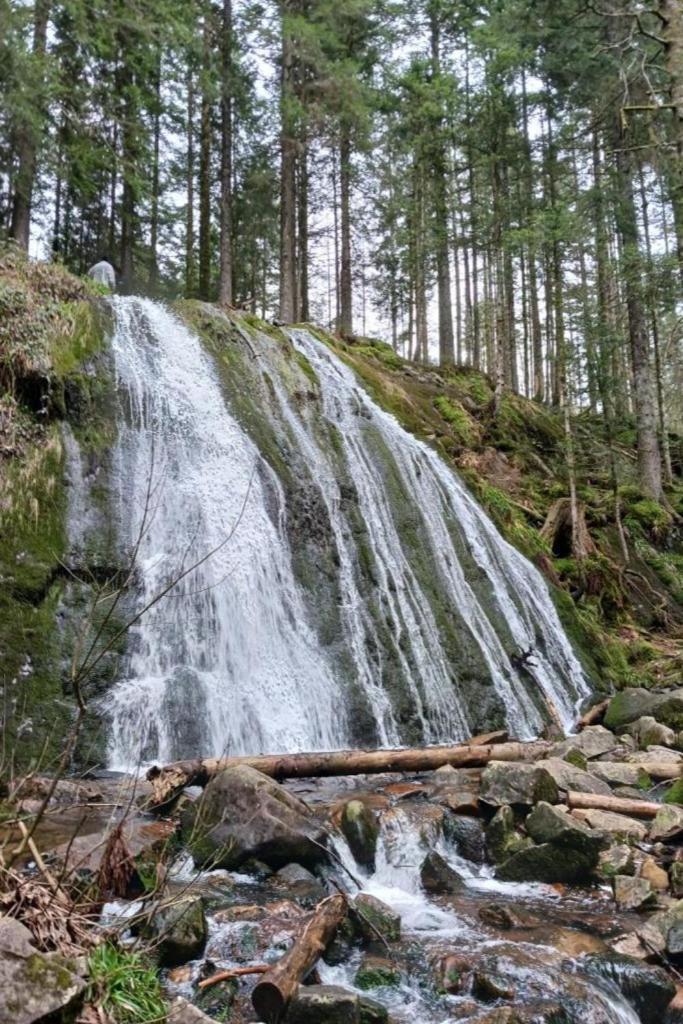 Charmant Gite, Au Calme, Avec Vue Imprenable Sur La Nature Environnante Deycimont Exteriér fotografie
